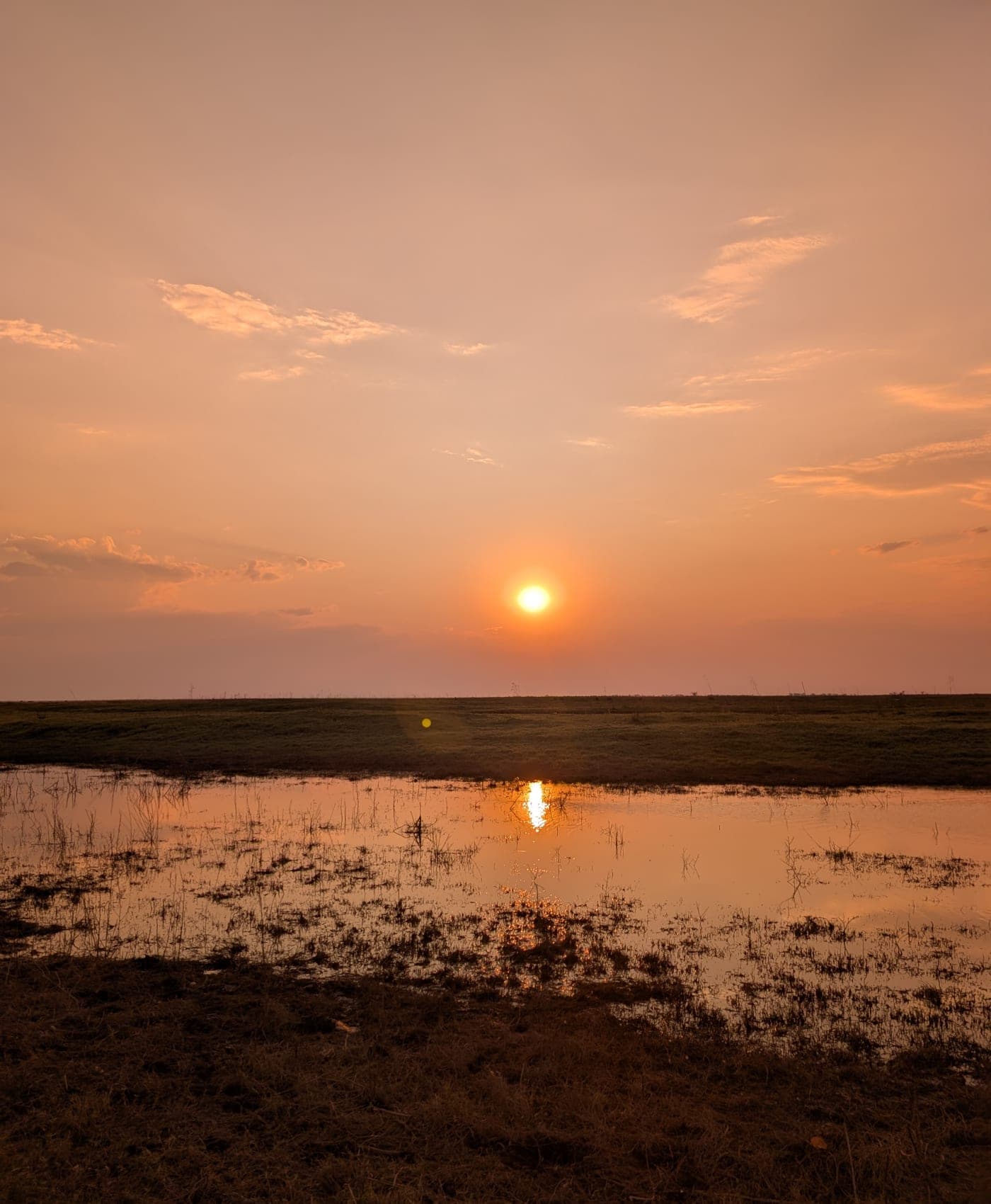 Sunset over the floodplain, the sky reflected in standing water