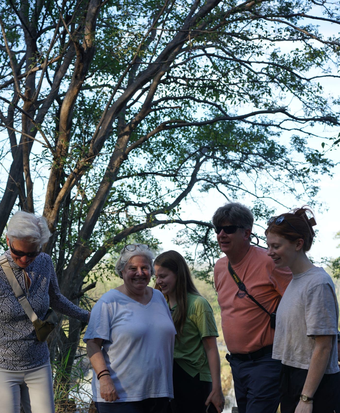 A group of guests walking together and laughing under the trees on a bush walk