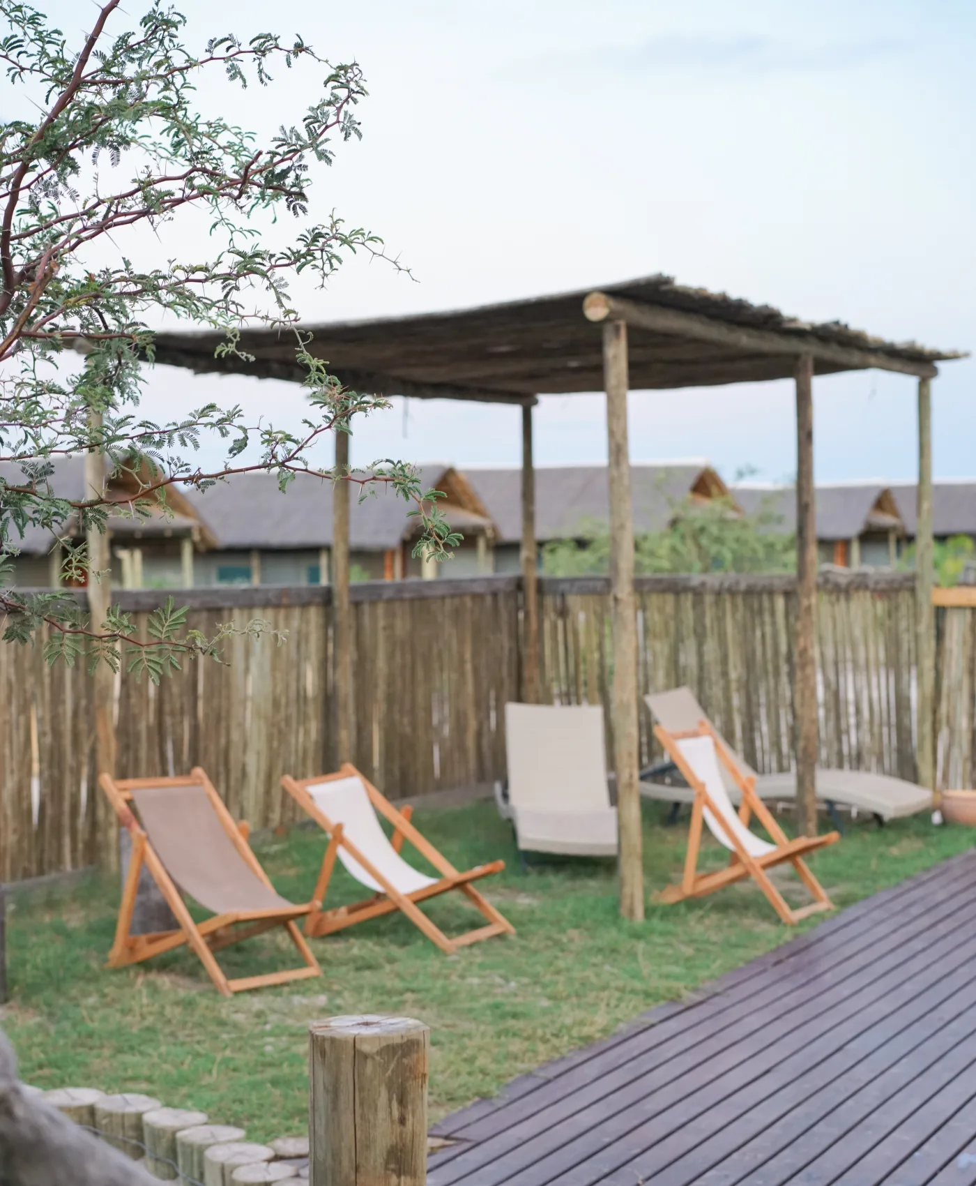 Pool lounges facing the plains