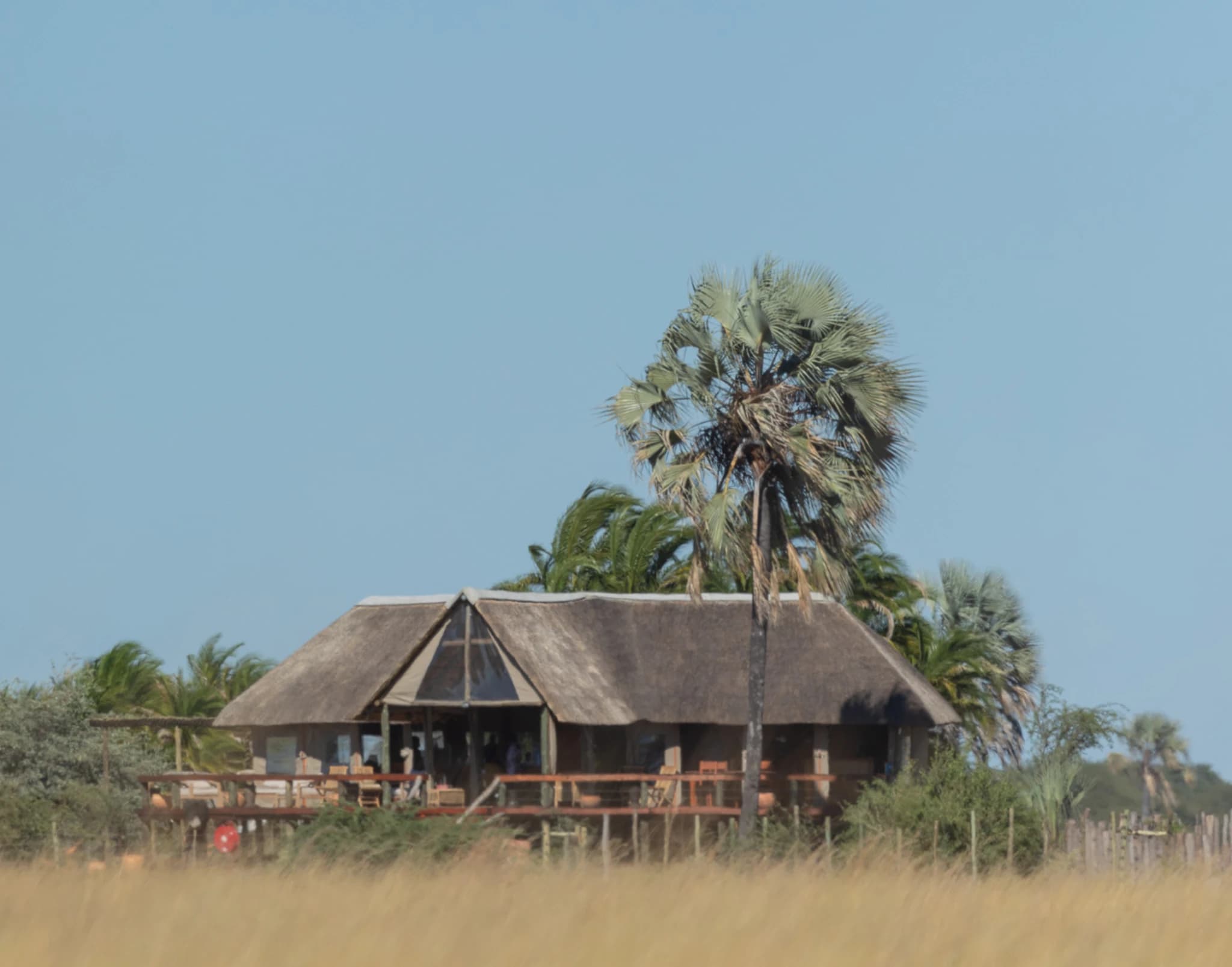 The Munga Plains camp at golden hour